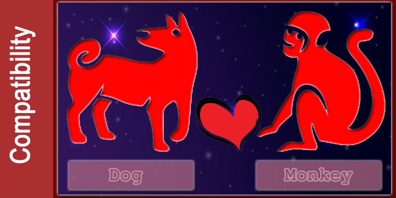 Dog & Monkey compatibility: Love, Friendship, Relationship & Man and ...